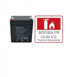 Batterie Rechargeable Inergyx VRL 12V 4Ah