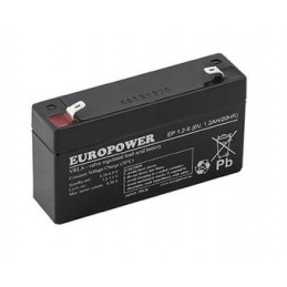 Batterie au Gel Europower...